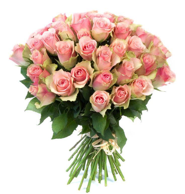 Timeless Romance Rosette Medley