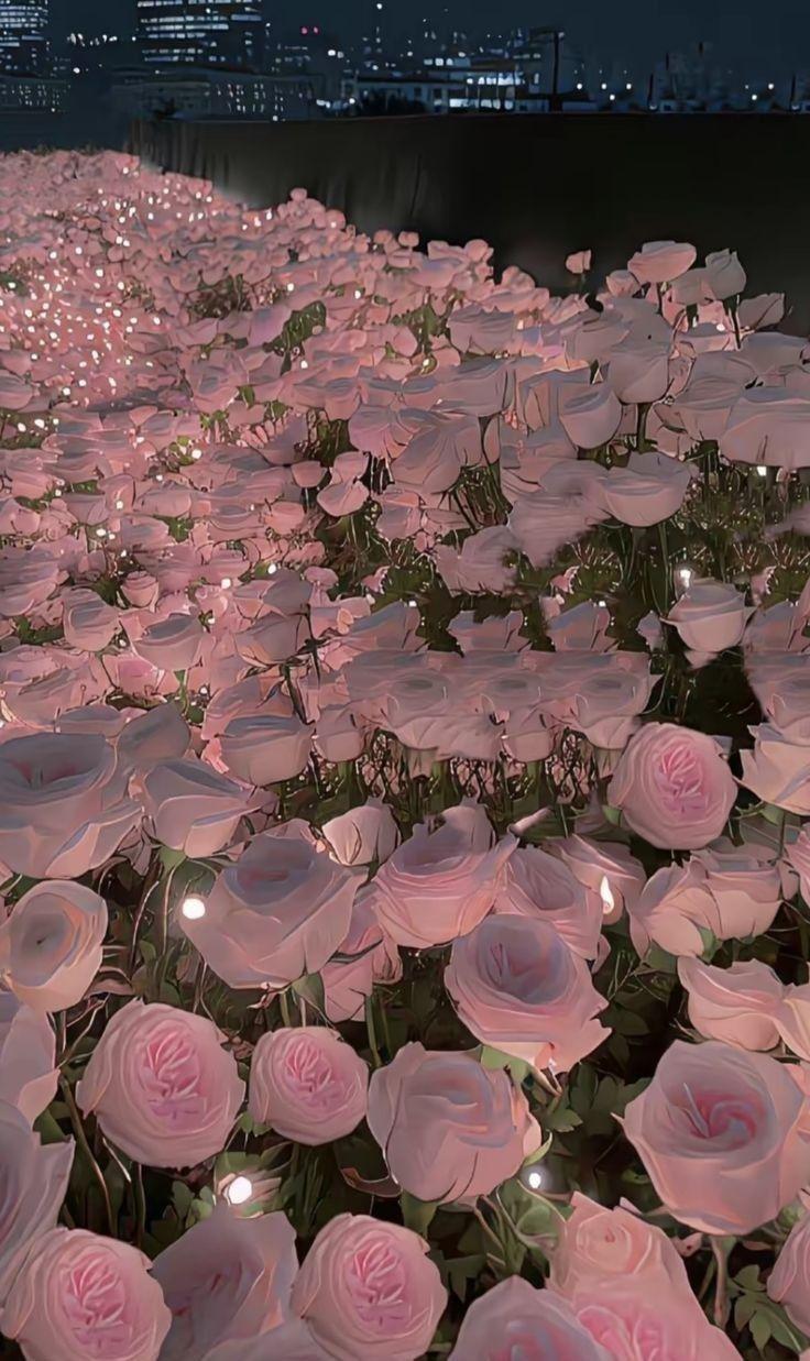 Serene Meadows Sunshine Cluster